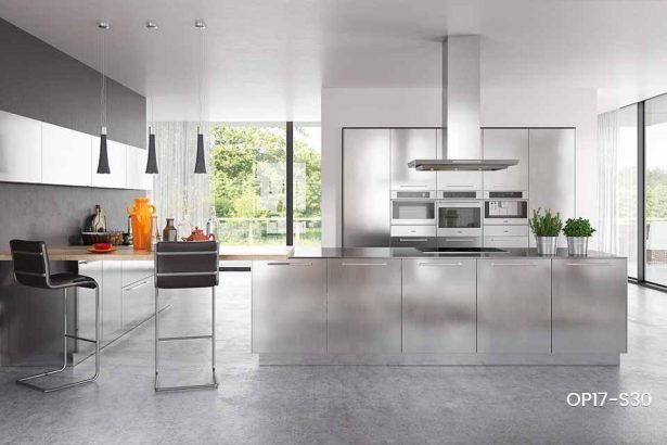 Modern Stainless Steel Kitchen Cabinet for Sale OP17-S30